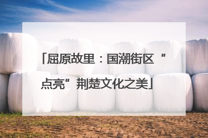 屈原故里：国潮街区“点亮”荆楚文化之美