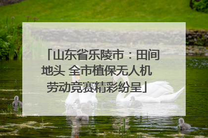 山东省乐陵市：田间地头 全市植保无人机劳动竞赛精彩纷呈