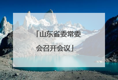 山东省委常委会召开会议