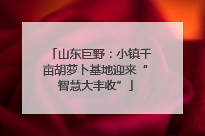 山东巨野：小镇千亩胡萝卜基地迎来“智慧大丰收”