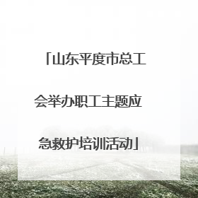 山东平度市总工会举办职工主题应急救护培训活动