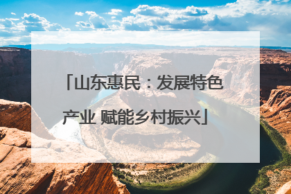 山东惠民：发展特色产业 赋能乡村振兴