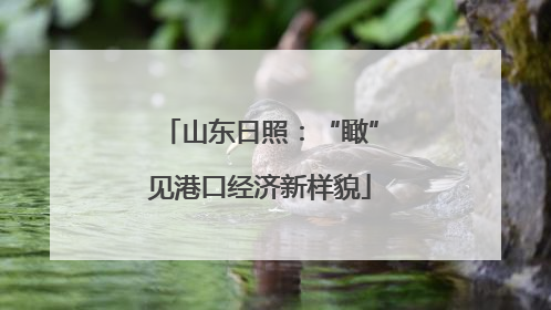山东日照：“瞰”见港口经济新样貌