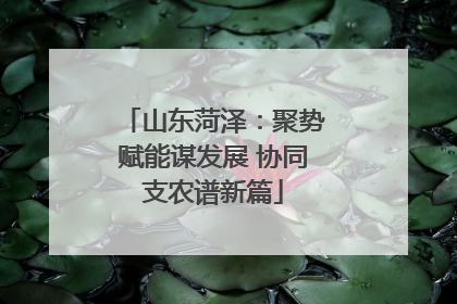 山东菏泽：聚势赋能谋发展 协同支农谱新篇