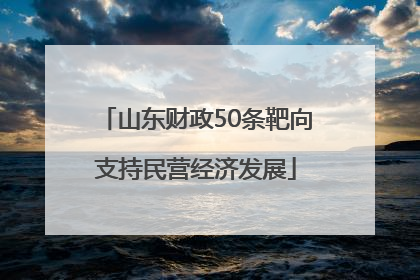 山东财政50条靶向支持民营经济发展