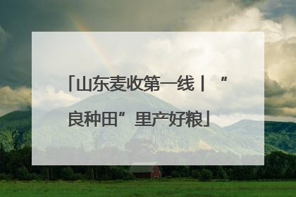 山东麦收第一线丨“良种田”里产好粮