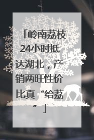 岭南荔枝24小时抵达湖北，产销两旺性价比真“给荔”