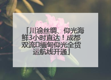 川渝丝绸、仰光海鲜3小时直达！成都双流⇌缅甸仰光全货运航线开通