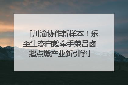 川渝协作新样本！乐至生态白鹅牵手荣昌卤鹅点燃产业新引擎