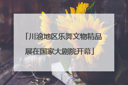 川渝地区乐舞文物精品展在国家大剧院开幕