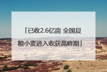 已收2.6亿亩 全国夏粮小麦进入收获高峰期