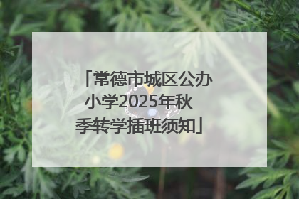 常德市城区公办小学2025年秋季转学插班须知