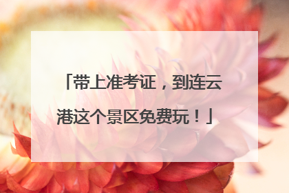 带上准考证，到连云港这个景区免费玩！