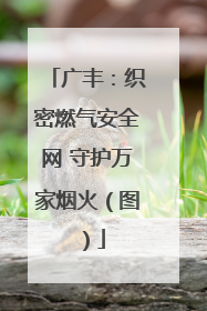 广丰：织密燃气安全网 守护万家烟火（图）