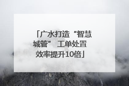 广水打造“智慧城管” 工单处置效率提升10倍