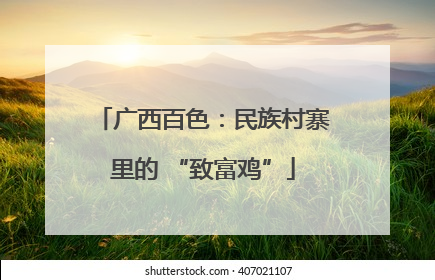 广西百色：民族村寨里的 “致富鸡”