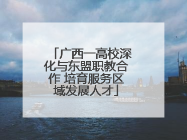 广西一高校深化与东盟职教合作 培育服务区域发展人才