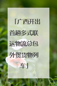 广西开出首趟多式联运物流总包外贸货物列车