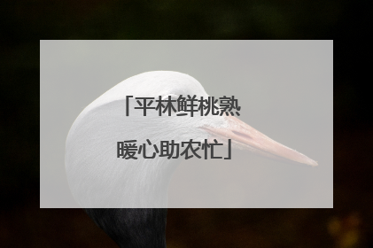 平林鲜桃熟 暖心助农忙