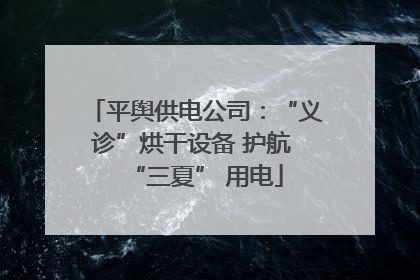 平舆供电公司：“义诊”烘干设备 护航 “三夏” 用电