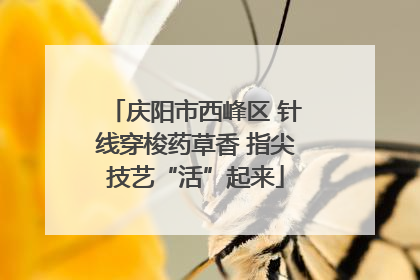 庆阳市西峰区 针线穿梭药草香 指尖技艺“活”起来