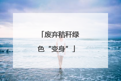 废弃秸秆绿色“变身”