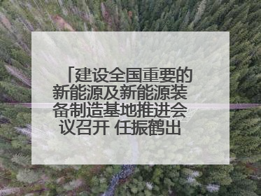 建设全国重要的新能源及新能源装备制造基地推进会议召开 任振鹤出席并讲话