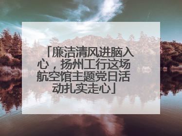 廉洁清风进脑入心，扬州工行这场航空馆主题党日活动扎实走心