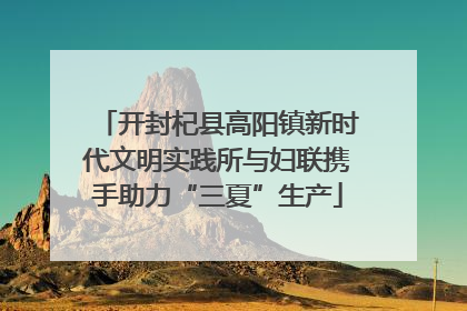 开封杞县高阳镇新时代文明实践所与妇联携手助力“三夏”生产