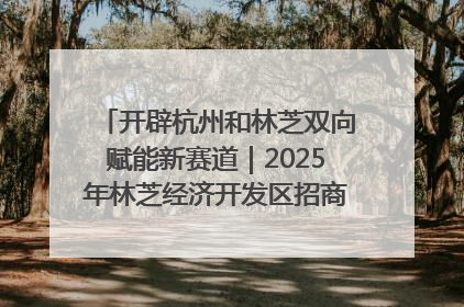 开辟杭州和林芝双向赋能新赛道｜2025年林芝经济开发区招商引资（杭州）推介展销活动在杭举办