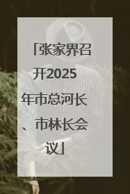 张家界召开2025年市总河长、市林长会议