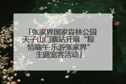 张家界国家森林公园天子山门票站开展“粽情端午·乐游张家界”主题宠客活动