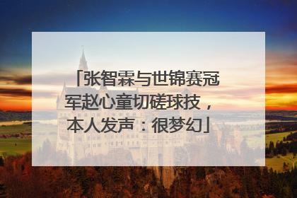 张智霖与世锦赛冠军赵心童切磋球技，本人发声：很梦幻