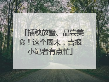 插秧放蟹、品尝美食！这个周末，吉报小记者有点忙