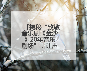 揭秘“致敬音乐剧《金沙》20年音乐剧场”：让声音能被看见