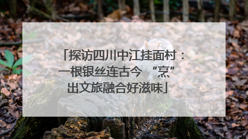 探访四川中江挂面村：一根银丝连古今 “烹”出文旅融合好滋味