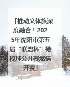 推动文体旅深度融合！2025年沈阳市第五届“联盟杯”橄榄球公开赛燃情开赛