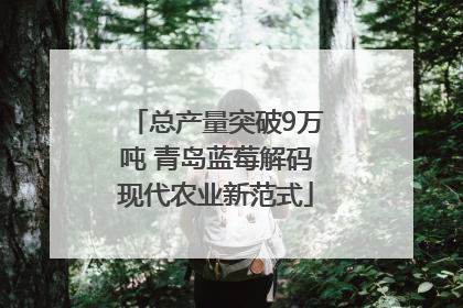 总产量突破9万吨 青岛蓝莓解码现代农业新范式