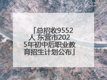 总招收9552人 东营市2025年初中后职业教育招生计划公布