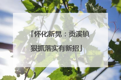 怀化新晃：贡溪镇狠抓落实有新招