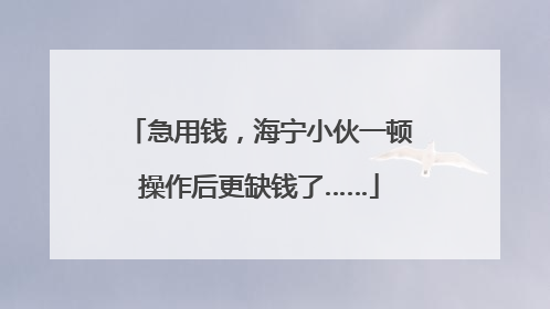 急用钱，海宁小伙一顿操作后更缺钱了……