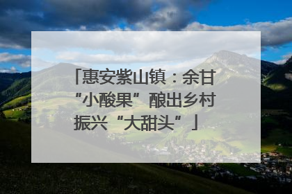 惠安紫山镇：余甘“小酸果”酿出乡村振兴“大甜头”
