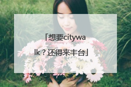 想要citywalk？还得来丰台