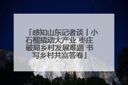 感知山东记者谈丨小石榴撬动大产业 枣庄破局乡村发展难题 书写乡村共富答卷