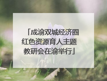 成渝双城经济圈红色资源育人主题教研会在渝举行