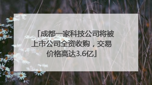 成都一家科技公司将被上市公司全资收购，交易价格高达3.6亿