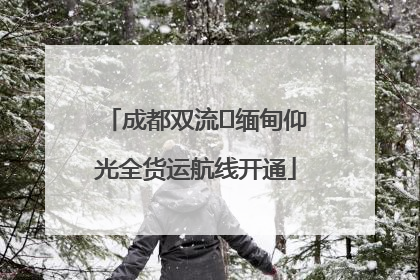 成都双流⇌缅甸仰光全货运航线开通