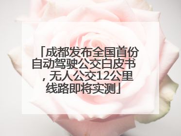 成都发布全国首份自动驾驶公交白皮书，无人公交12公里线路即将实测