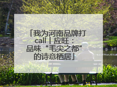 我为河南品牌打call丨应旺：品味“毛尖之都”的诗意栖居
