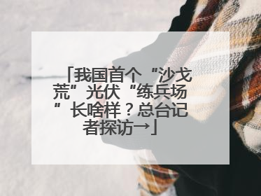 我国首个“沙戈荒”光伏“练兵场”长啥样？总台记者探访→